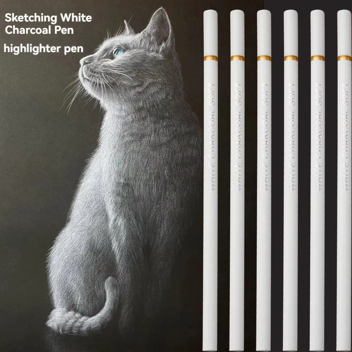 Sketching Charcoal Set - 6Pcs/set White Charcoal Pencils Drawing Set