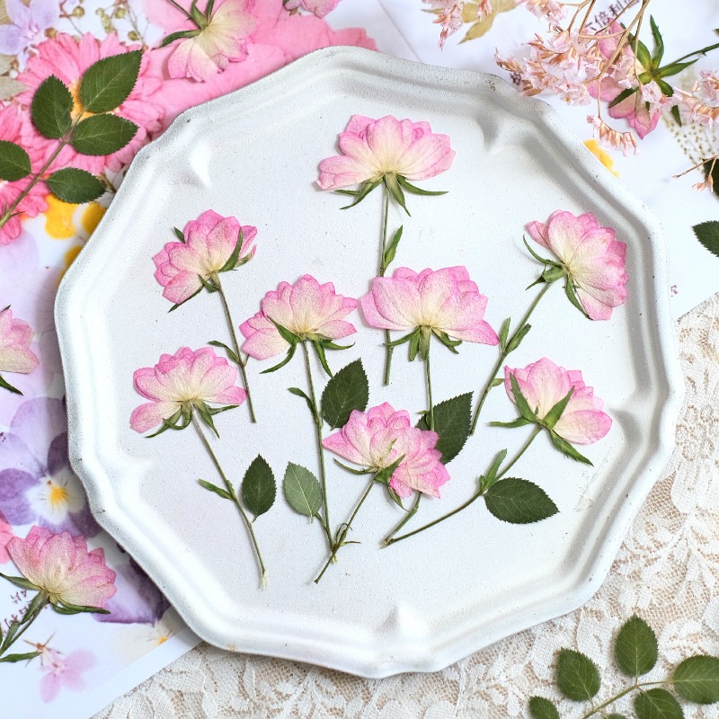 Art Craft Activities - 12pcs,Real Dried Pressed Flowers for Phone