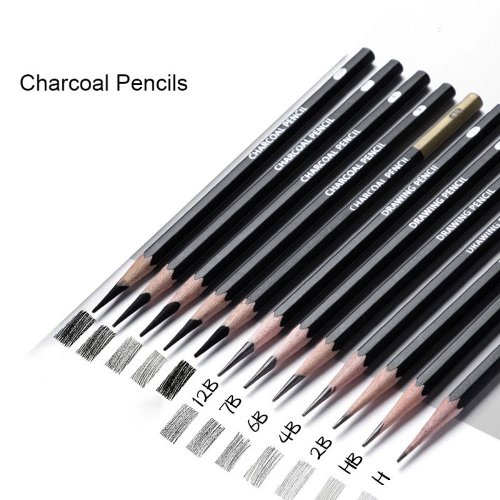 Professional Graphite Mixed Sk - Sketching Charcoal Set 评论和价格