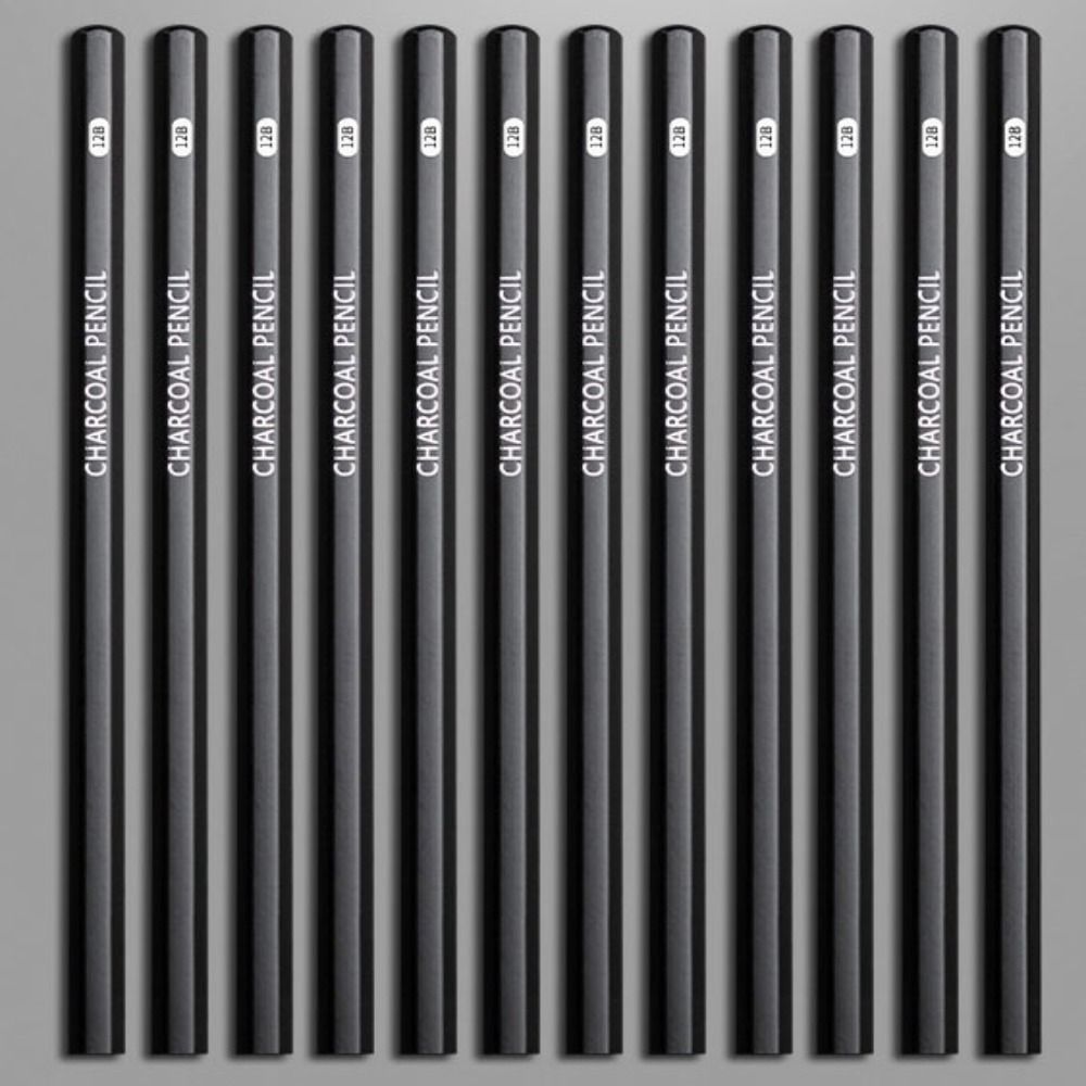 Professional Graphite Mixed Sk - Sketching Charcoal Set 评论和价格