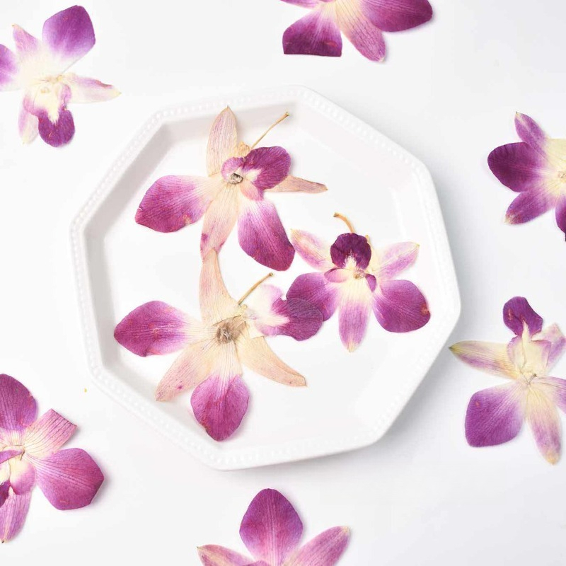 4pcs,Real Pressed Butterfly Or - Art Craft Activities 评论和价格
