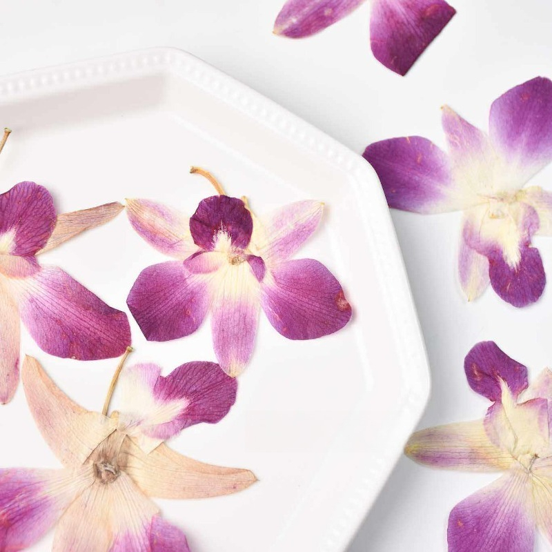 4pcs,Real Pressed Butterfly Or - Art Craft Activities 评论和价格