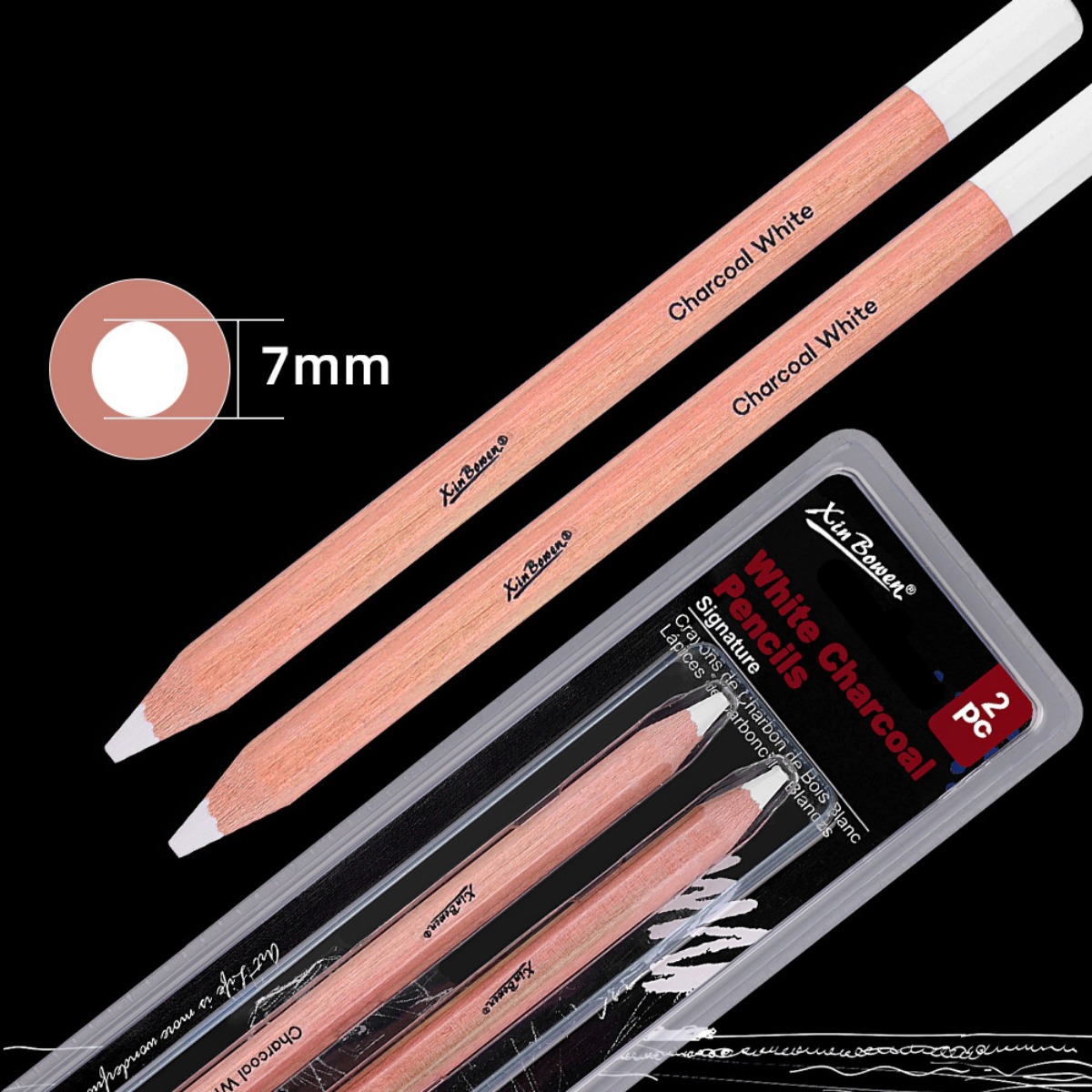 2Pcs/set Thicked Sketching Whi - Sketching Charcoal Set 评论和价格