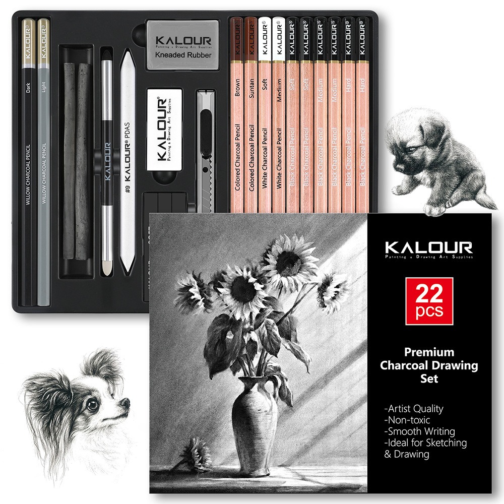 KALOUR 25/22pcs Sketching Penc - Sketching Charcoal Set 评论和价格