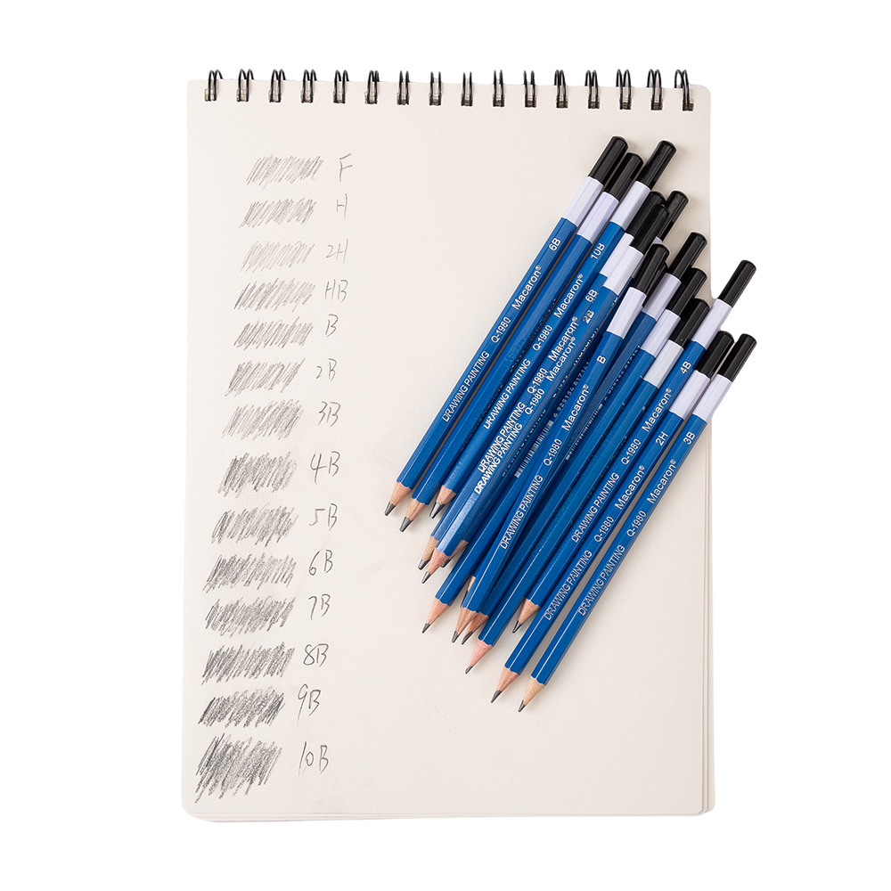 14Pcs Professional Sketch Char - Sketching Charcoal Set 评论和价格