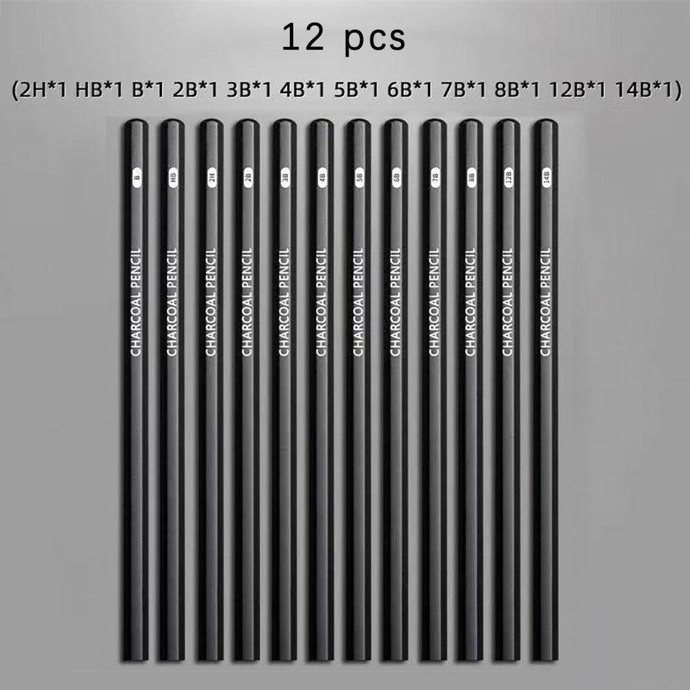 12 pieces Sketching pencil for - Sketching Charcoal Set 评论和价格