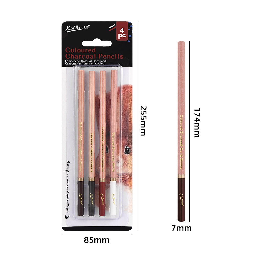 4Pcs Professional Sketch Charc - Sketching Charcoal Set 评论和价格