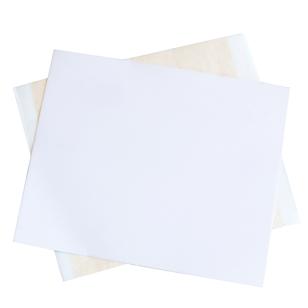 13x13.5cm Champagne Silver Foi - Art Craft With Leaves 评论和价格