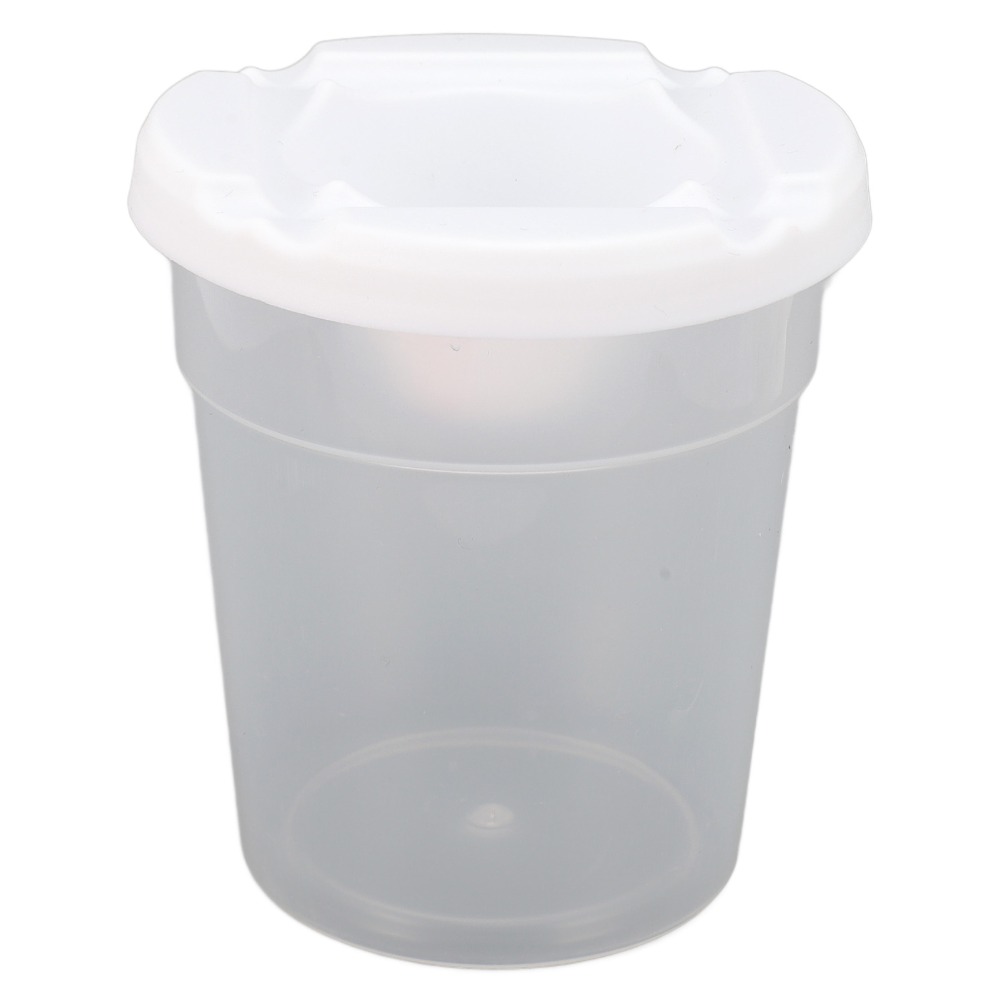 5pcs Colored Lids Spill Proof  - Art And Craft With Paint 评论和价格